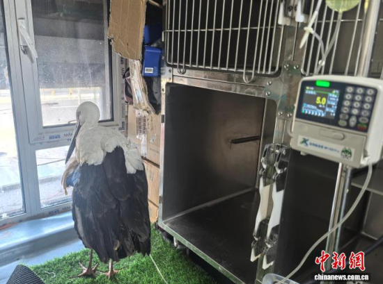 �܂��Ė|�����X���ڽ���ݔҺ�ί�����ʯ���� �z