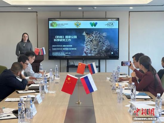 ���_˹���ҷ������o�|������(j��ng)�������� �z