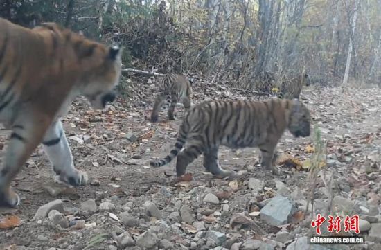 2025���ږ|���������ҹ��@�Ĕz���Ė|������(��ҕ��ý���D)