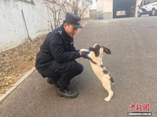 ���Ҳ������c�[�����B(y��ng)�H�ܶȡ���ʯ���� �z