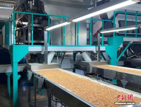 �������a(ch��n)����(�L(zh��ng)�����P(gu��n)���D)