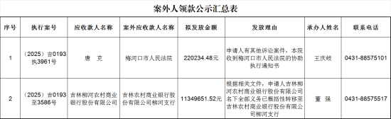 長春新區(qū)人民法院供圖 長春新區(qū)人民法院供圖