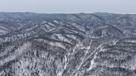 ���AƤ���(zh��n)ĵ���X�� �������ý�w���Ĺ��D