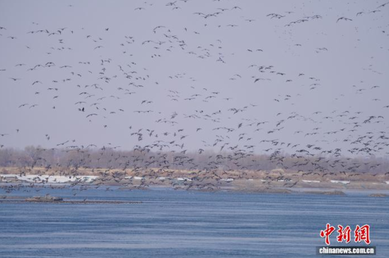 �B��^�������Ժ��������� �z