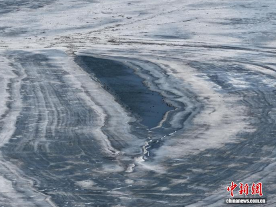 3��16���������(zh��n)�l�������������������BͣЪҒʳ���������� �z