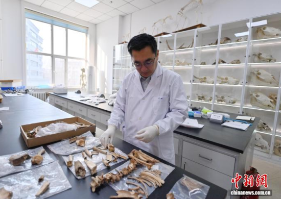 3��20���������L�����̴�������ӱ��������� �z