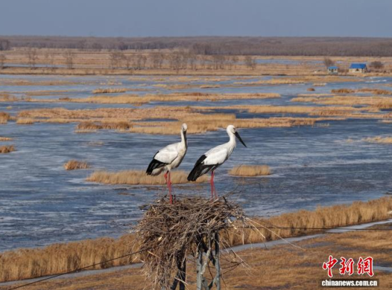 3��16���������(zh��n)�l��һ��(du��)�|�����X��ĪĪ���صĳ����������������� �z