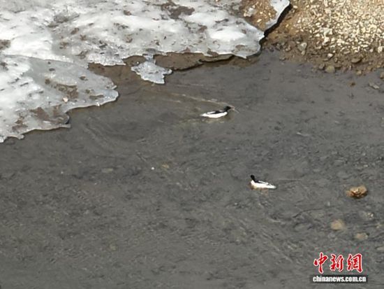 ���A��ɳ���ڼtʯ�օ^(q��)ˮ�������������L(zh��ng)��ɽɭ�����F(tu��n)�tʯ�֘I(y��)���޹�˾���D